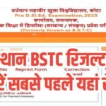 Rajasthan BSTC Result 2025